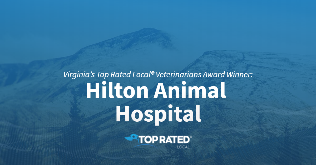 Virginia’s Top Rated Local® Veterinarians Award Winner Hilton Animal