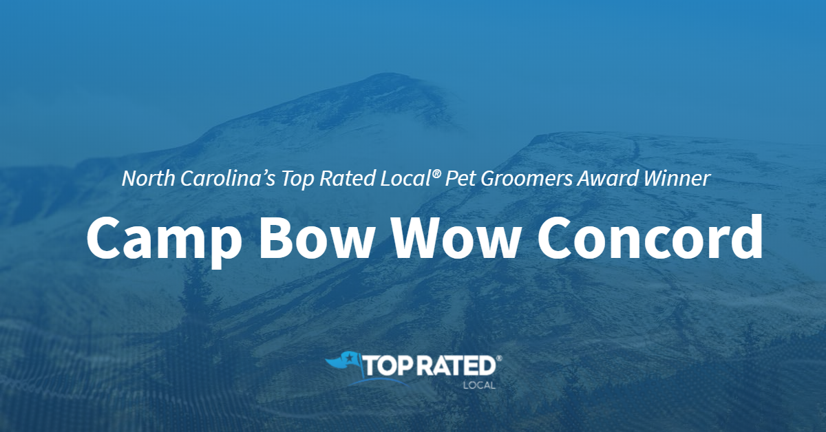 camp bow wow complaints