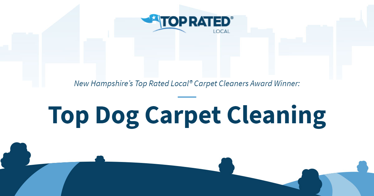 Carpet Cleaner Archives Top Rated Local Blog
