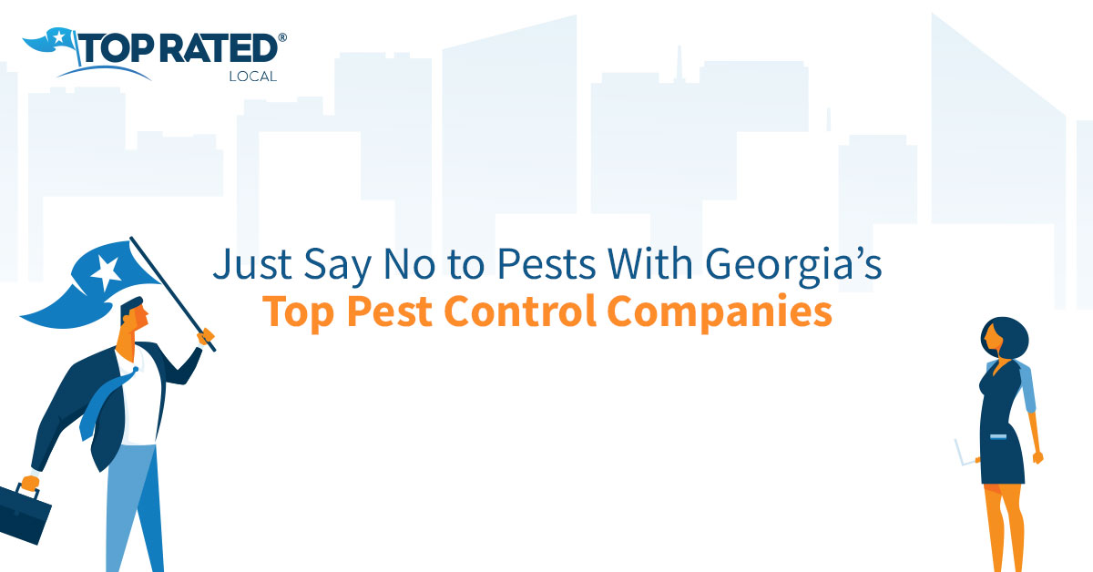 Just Say No to Pests With Top Pest Control Companies
